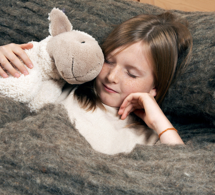 Nachhaltigkeit Produkte Schafwolle Daemmung Machacek Baustoffhandel