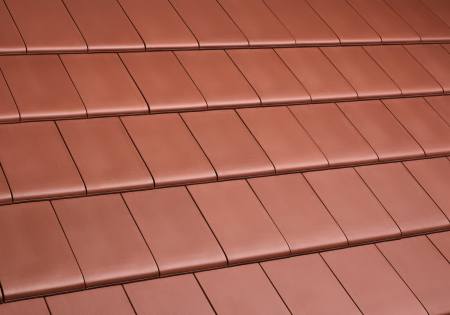 Machacek - Erlus Linea 1/1 Flächenziegel